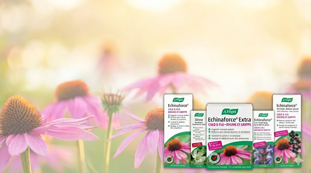 Bioforce: A Custom Retail Execution and Order Management System Built on HubSpot Sales Hub