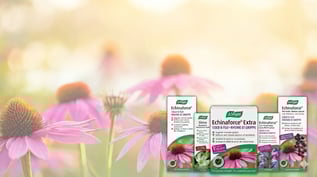 Bioforce: A Custom Retail Execution and Order Management System Built on HubSpot Sales Hub